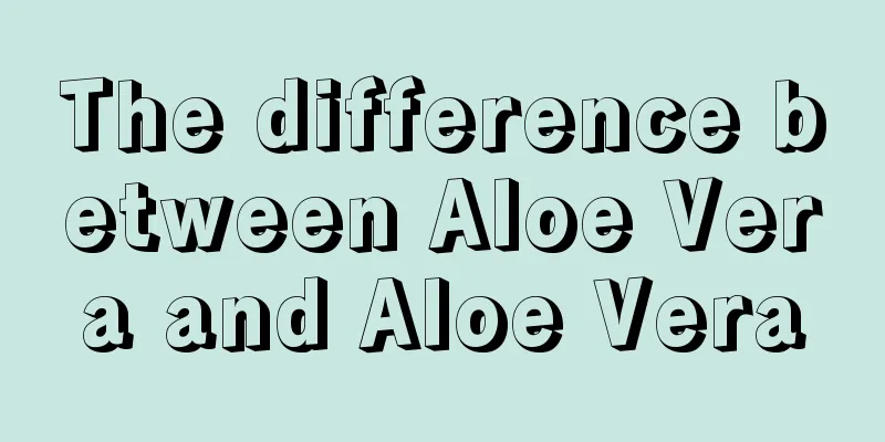 The difference between Aloe Vera and Aloe Vera