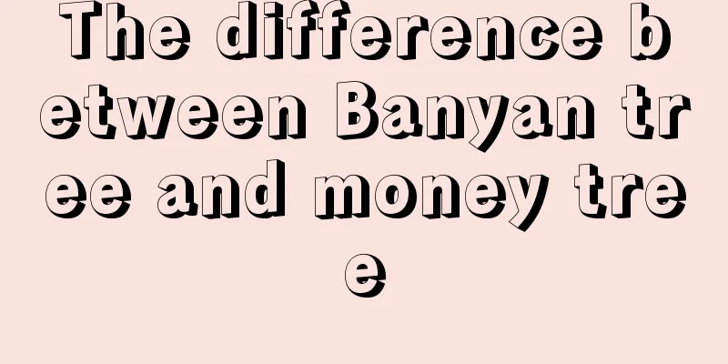 The difference between Banyan tree and money tree