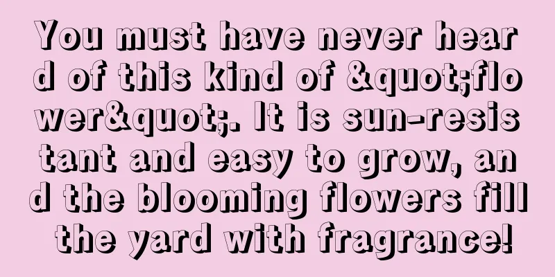 You must have never heard of this kind of "flower". It is sun-resistant and easy to grow, and the blooming flowers fill the yard with fragrance!