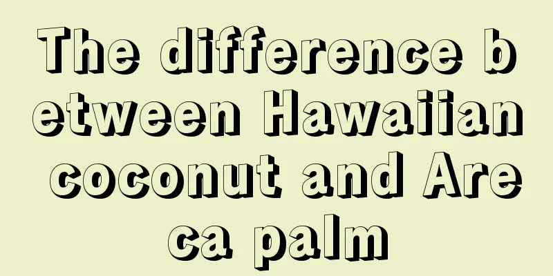 The difference between Hawaiian coconut and Areca palm