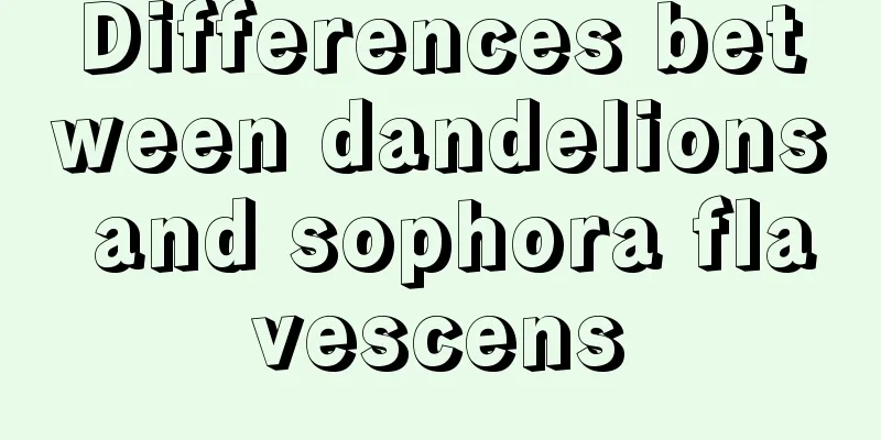 Differences between dandelions and sophora flavescens