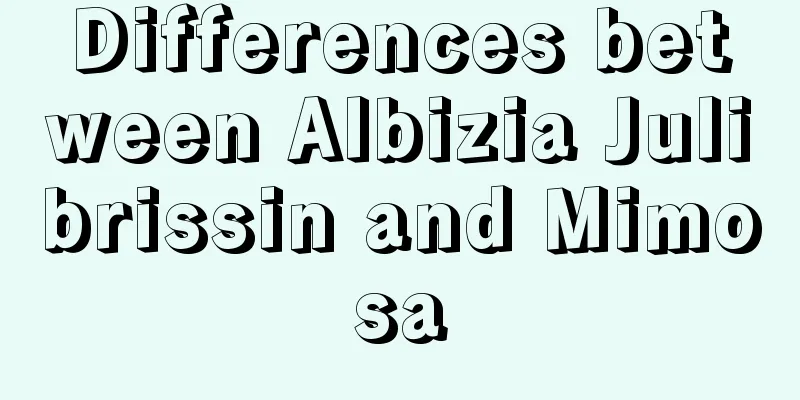 Differences between Albizia Julibrissin and Mimosa