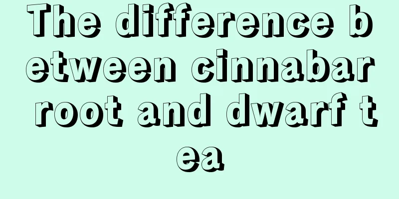 The difference between cinnabar root and dwarf tea