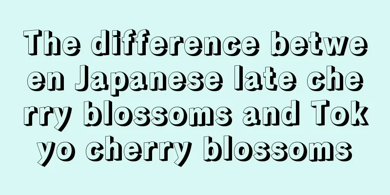 The difference between Japanese late cherry blossoms and Tokyo cherry blossoms