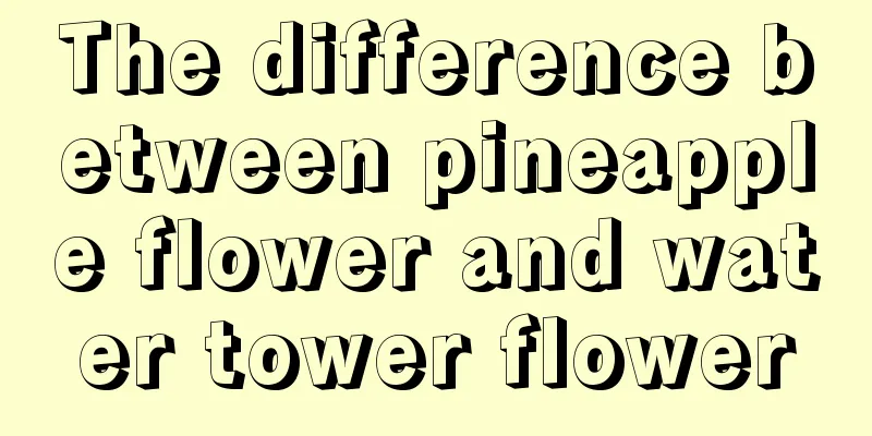 The difference between pineapple flower and water tower flower