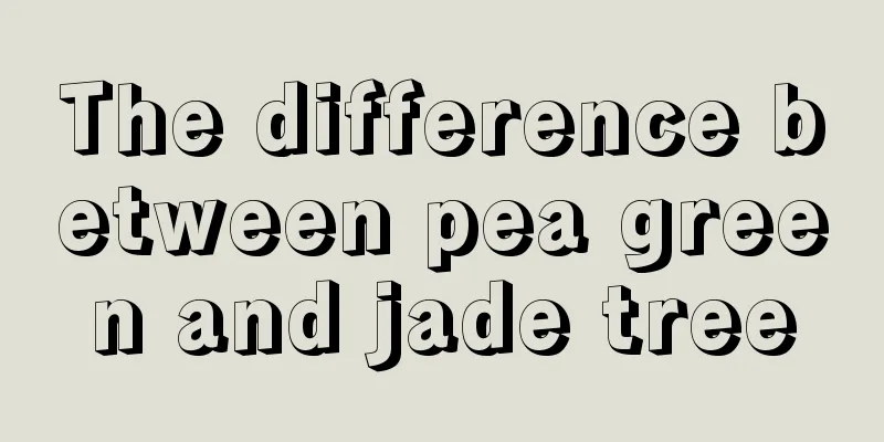 The difference between pea green and jade tree