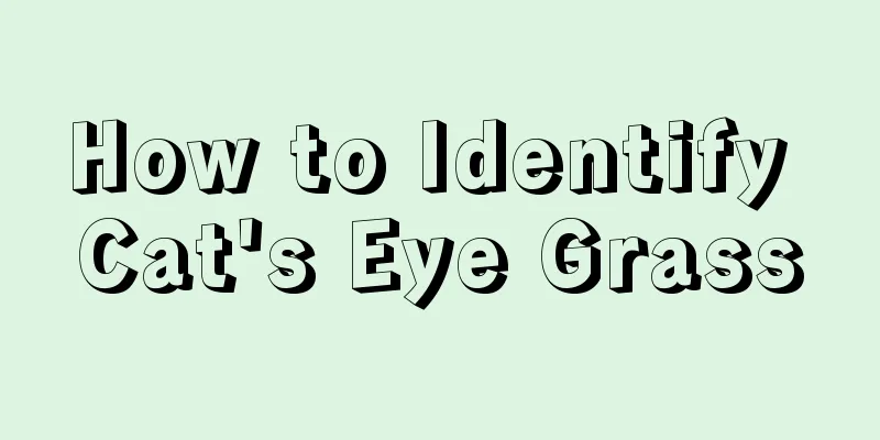 How to Identify Cat's Eye Grass