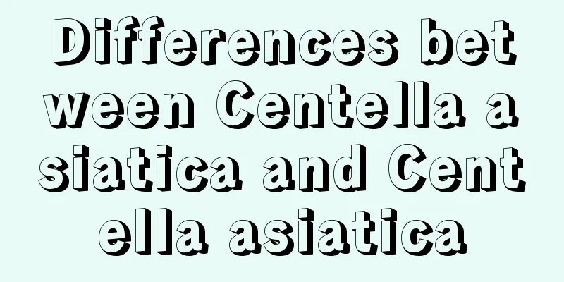 Differences between Centella asiatica and Centella asiatica