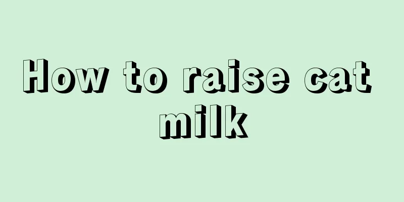 How to raise cat milk