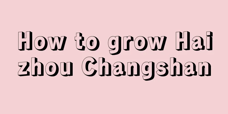 How to grow Haizhou Changshan