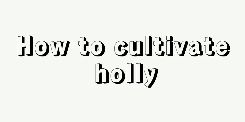 How to cultivate holly