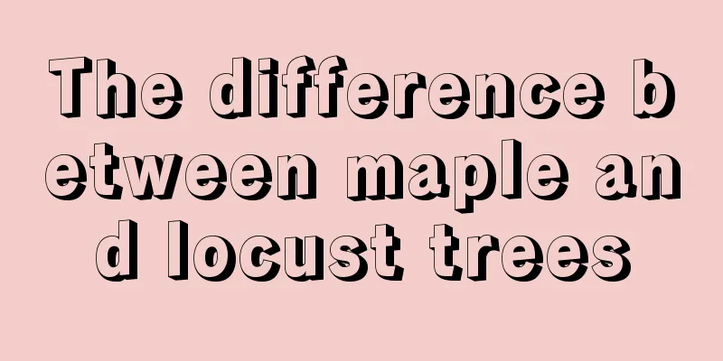 The difference between maple and locust trees