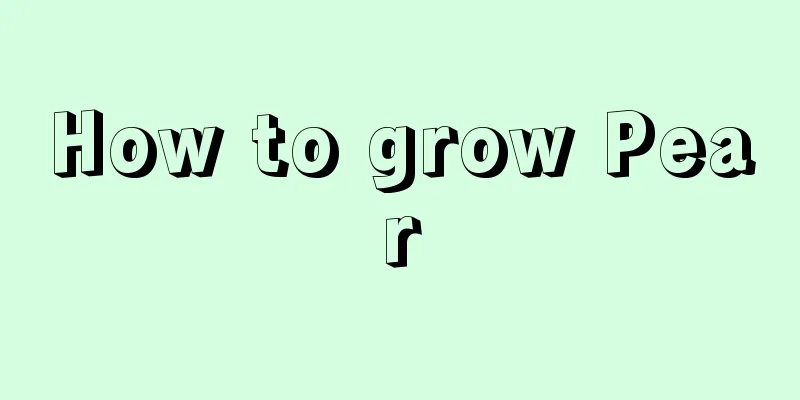 How to grow Pear