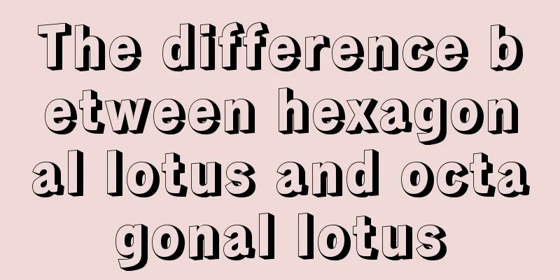 The difference between hexagonal lotus and octagonal lotus