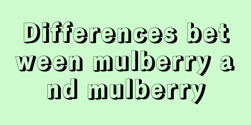 Differences between mulberry and mulberry