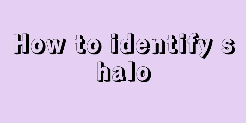 How to identify shalo