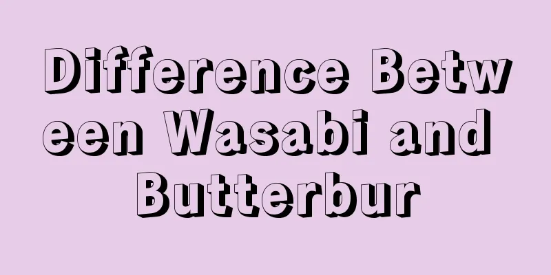 Difference Between Wasabi and Butterbur