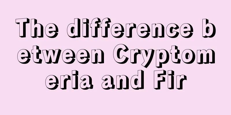 The difference between Cryptomeria and Fir