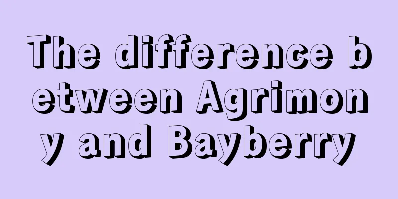 The difference between Agrimony and Bayberry