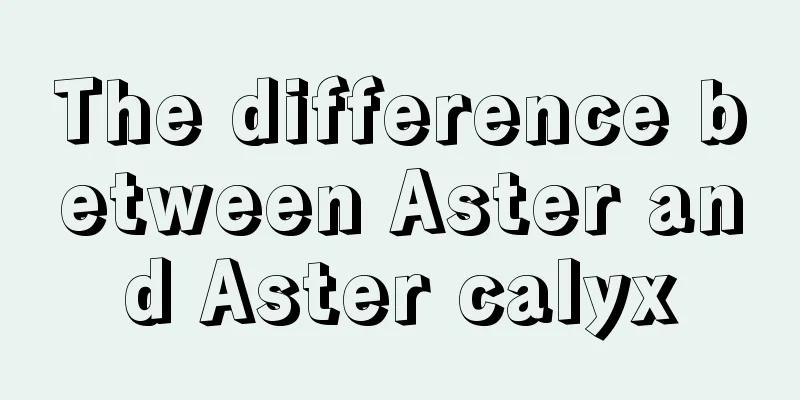 The difference between Aster and Aster calyx