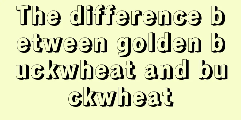 The difference between golden buckwheat and buckwheat