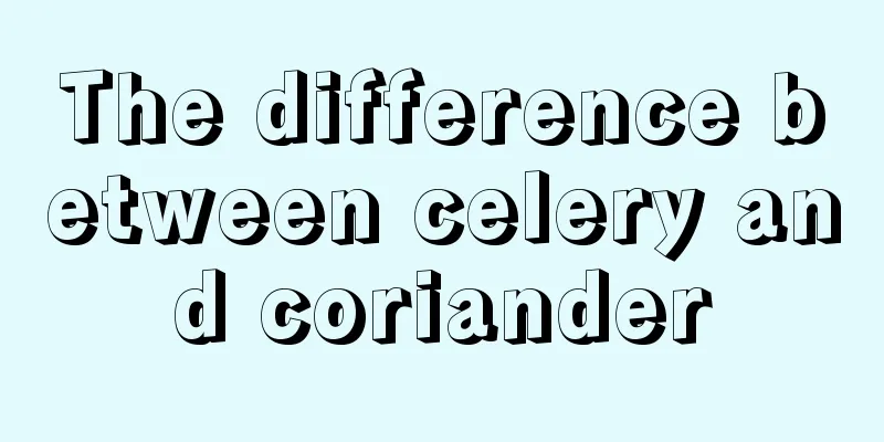 The difference between celery and coriander