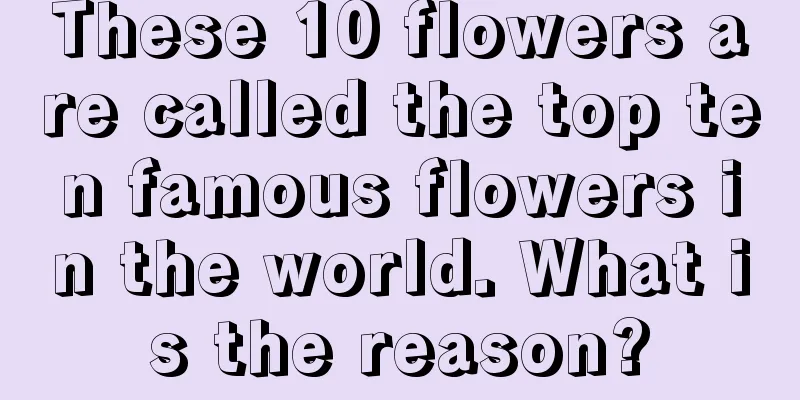 These 10 flowers are called the top ten famous flowers in the world. What is the reason?