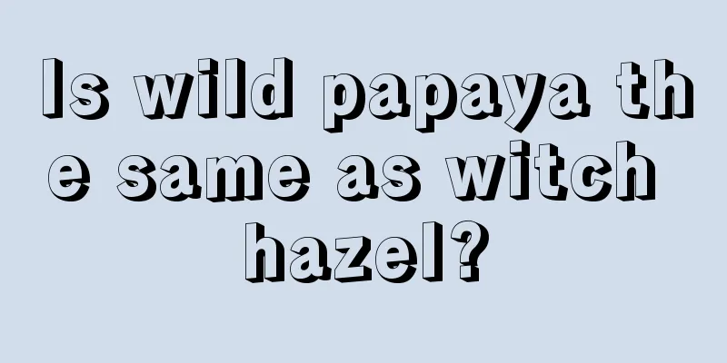 Is wild papaya the same as witch hazel?