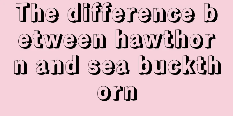 The difference between hawthorn and sea buckthorn