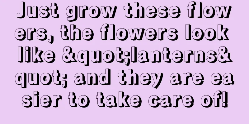 Just grow these flowers, the flowers look like "lanterns" and they are easier to take care of!