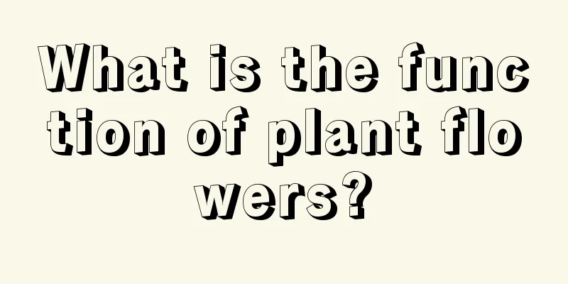 What is the function of plant flowers?