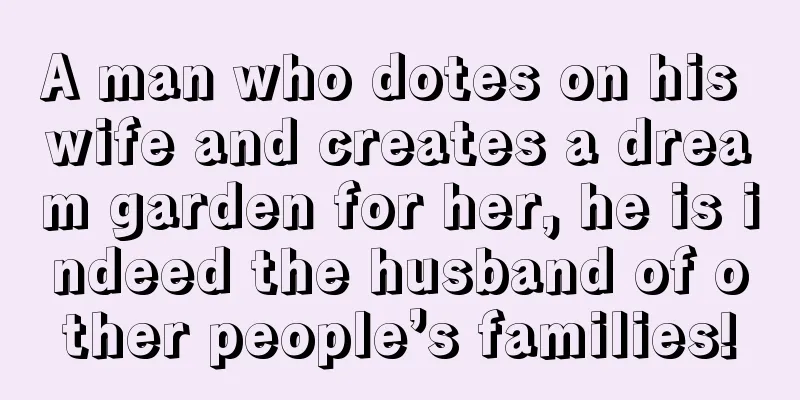 A man who dotes on his wife and creates a dream garden for her, he is indeed the husband of other people’s families!