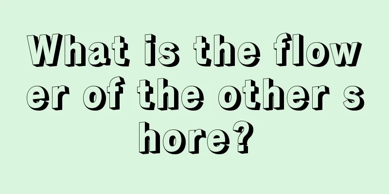 What is the flower of the other shore?