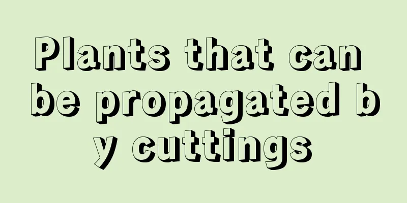 Plants that can be propagated by cuttings