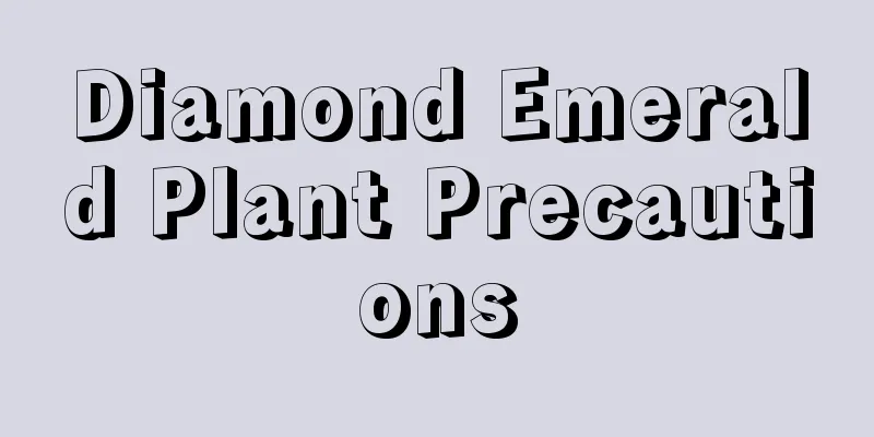 Diamond Emerald Plant Precautions