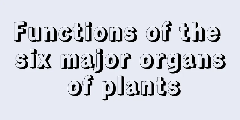 Functions of the six major organs of plants