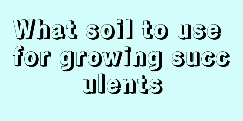 What soil to use for growing succulents