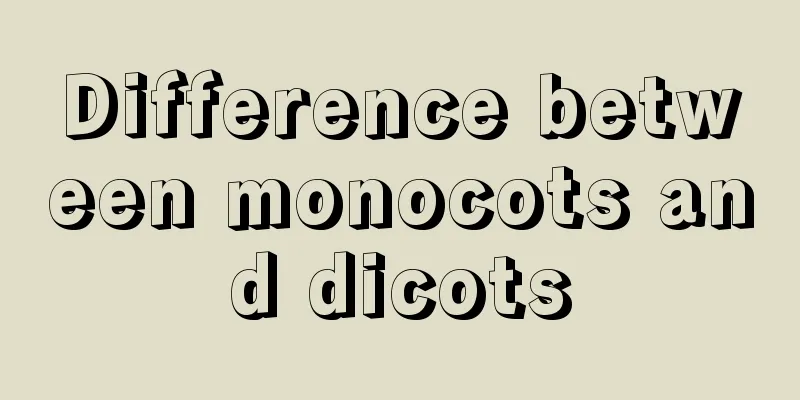 Difference between monocots and dicots