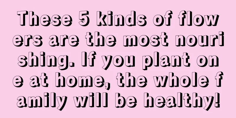 These 5 kinds of flowers are the most nourishing. If you plant one at home, the whole family will be healthy!