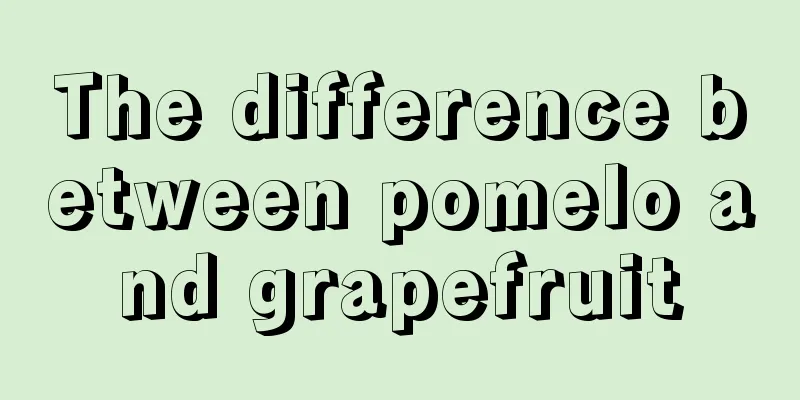 The difference between pomelo and grapefruit