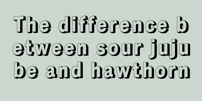 The difference between sour jujube and hawthorn