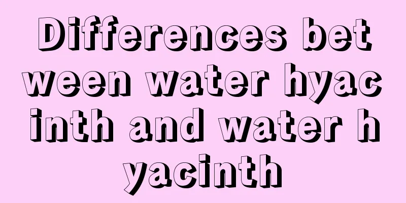 Differences between water hyacinth and water hyacinth