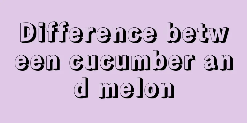 Difference between cucumber and melon