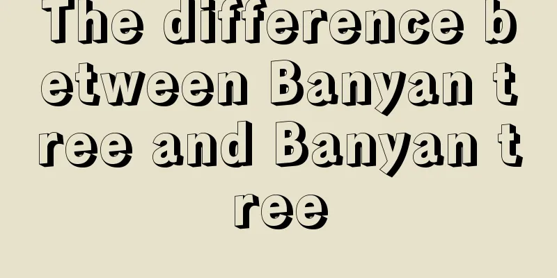 The difference between Banyan tree and Banyan tree