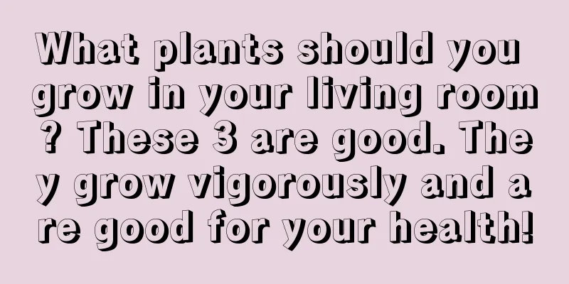 What plants should you grow in your living room? These 3 are good. They grow vigorously and are good for your health!