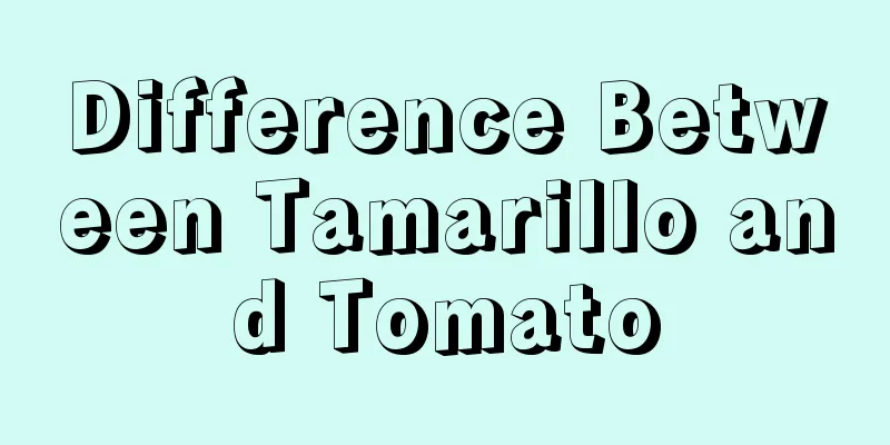 Difference Between Tamarillo and Tomato