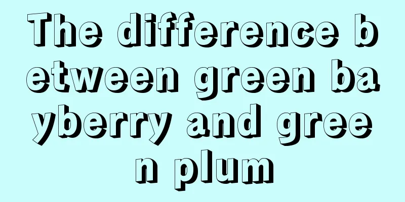 The difference between green bayberry and green plum