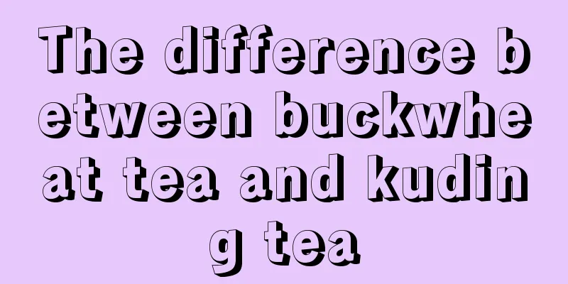 The difference between buckwheat tea and kuding tea