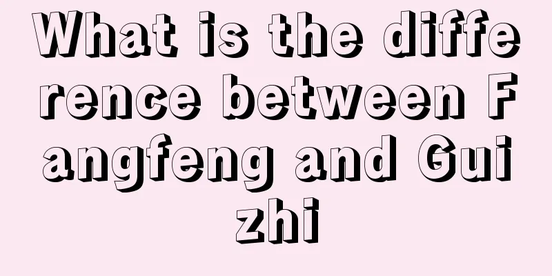 What is the difference between Fangfeng and Guizhi