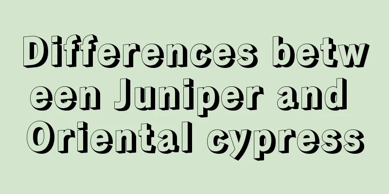 Differences between Juniper and Oriental cypress